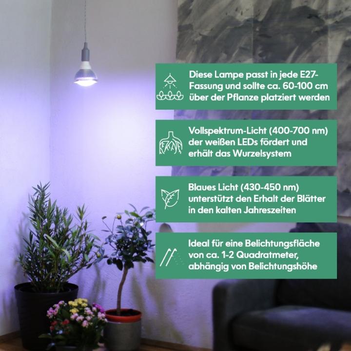 Image du produit Venso Cultiver la lumière en hiver (LED, 245 V)