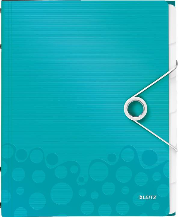 Produktbild Leitz WOW - Ordner mit Abteilungen (A4, 1x)