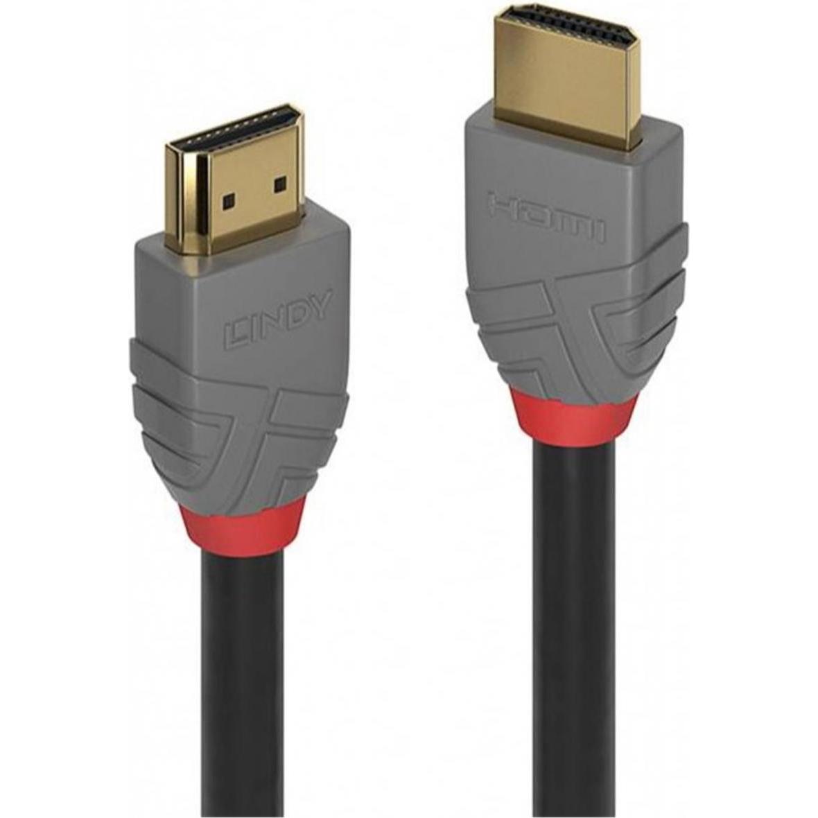 Lindy HDMI (Typ A) — HDMI (Typ A) (0.30 m), Cavo video, Nero