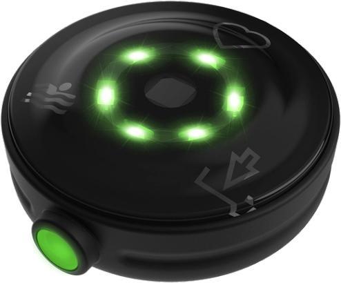 Productafbeelding Polar Verity Sense OHR L-XXL Pulssensor Schwarz (28-44cm)