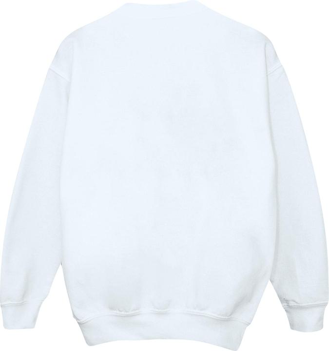 Produktbild Looney Tunes Daffy Duck Colour Code Sweatshirt (XL)
