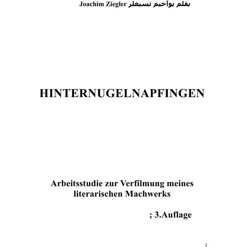 Hinternugelnapfingen Arbeitsstudie zur Verfilmung meines literarischen Machwerks 3.Auflage, Belletristik von Joachim Zie...