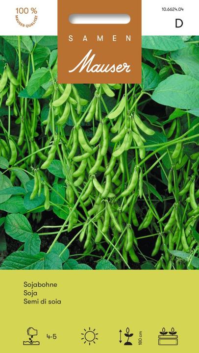 Produktbild Samen Mauser Sojabohne (Gemüsesamen)