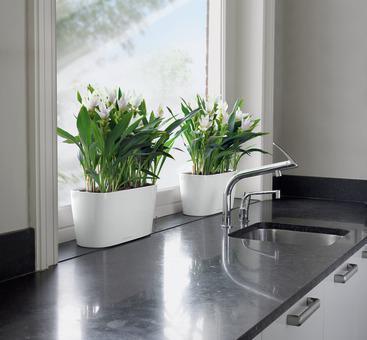 Produktbild Lechuza Delta (40 x 15 x 18 cm)