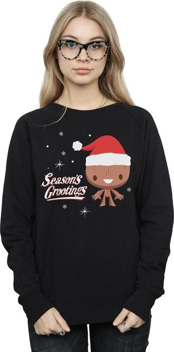 Actual product image Womens/Ladies Season's Grootings Sweatshirt (M)