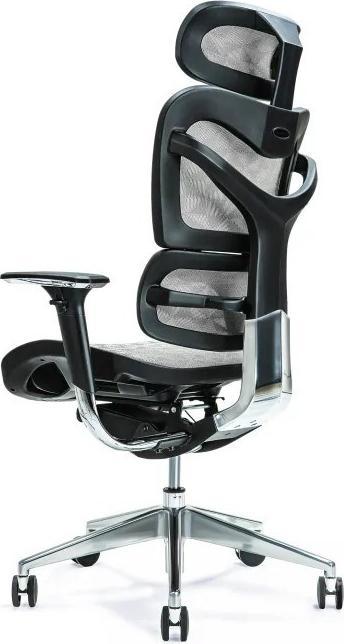 Actual product image Bemondi Ergo 700 (47 - 56 cm)