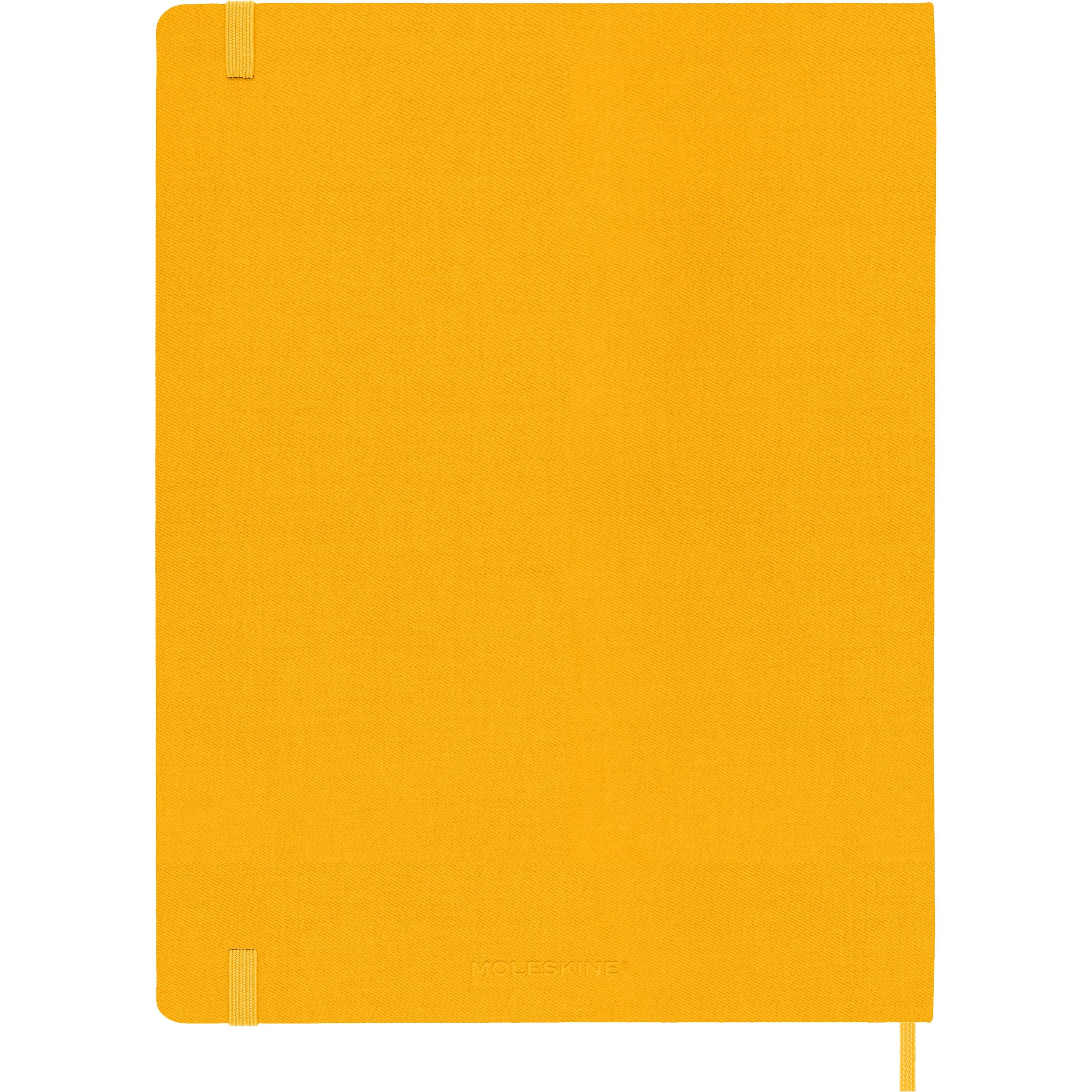 Moleskine, Heft + Block, COLOR - Notizbücher (25 x 19 cm, Liniert)