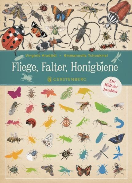 Produktbild Fliege, Falter, Honigbiene (Deutsch, Virginie Aladjidi, 2016)