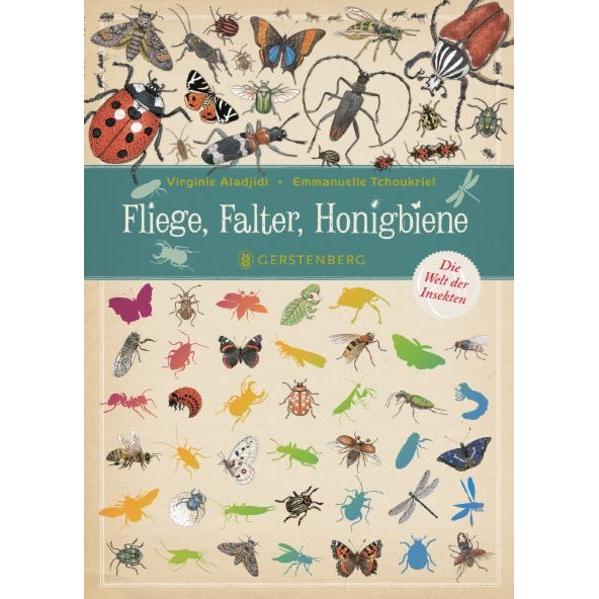 Fliege, Falter, Honigbiene, Kinderbücher von Virginie Aladjidi