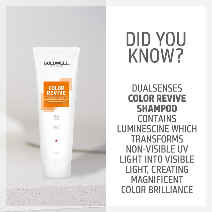 Actual product image Goldwell Color Revive Color Giving Shampoo Copper Shampoo (Liquid shampoo, 250 ml)