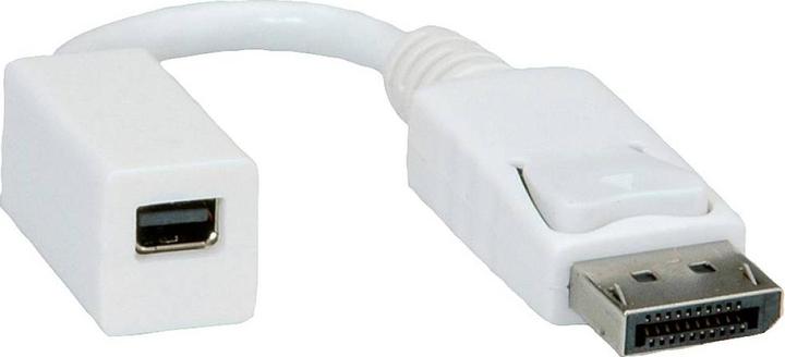 Actual product image Roline DP zu (Mini DP, 15 cm)
