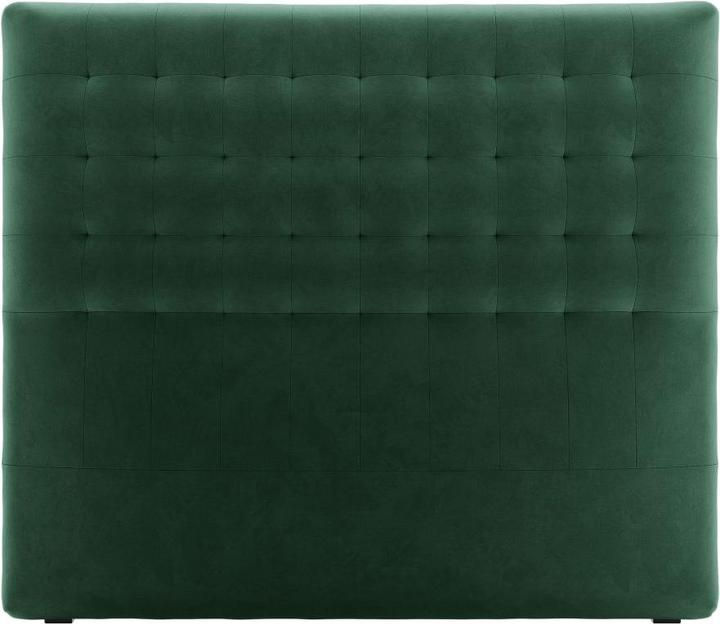 Black Plastic, Green