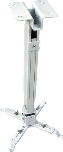 Avtek EasyMount projector mounting bracket white (Ceiling)