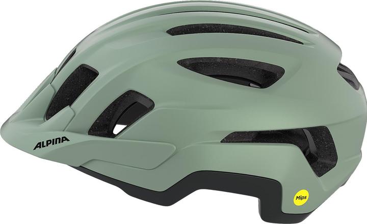 Productafbeelding Alpina Paranus Mips (55 - 59 cm)