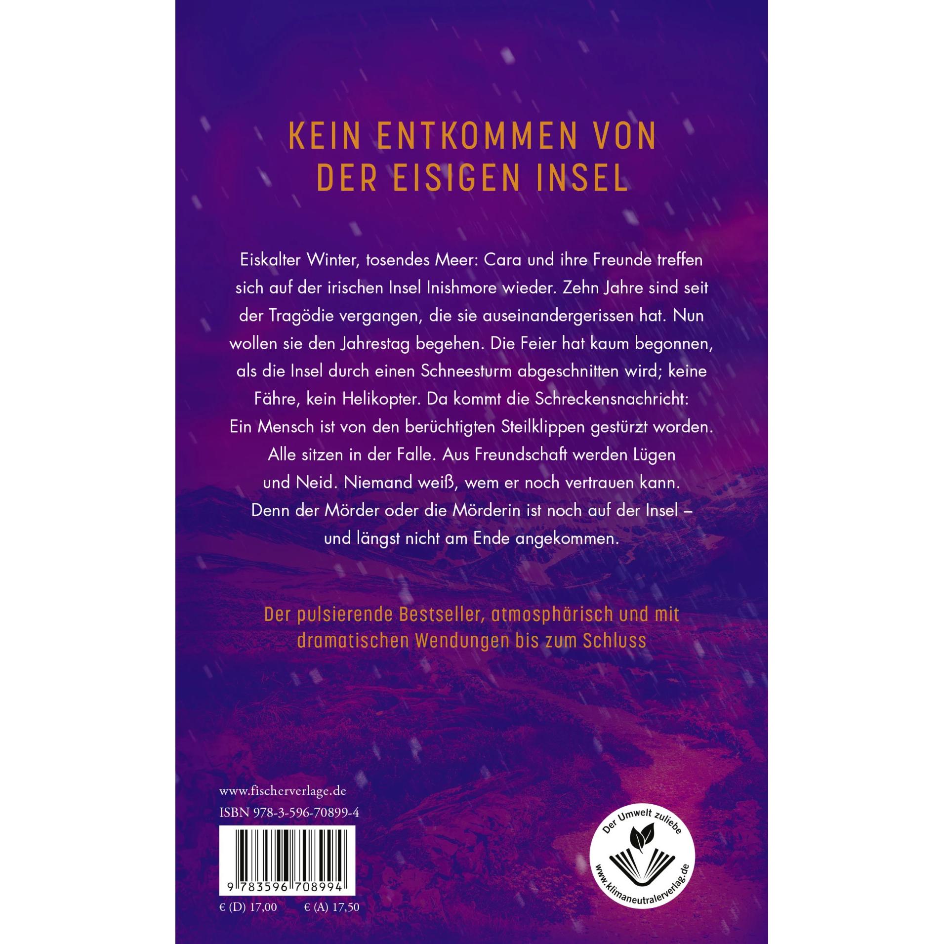 Thumbnail - Schneesturm, Belletristik von Birgit Schmitz, Tríona Walsh