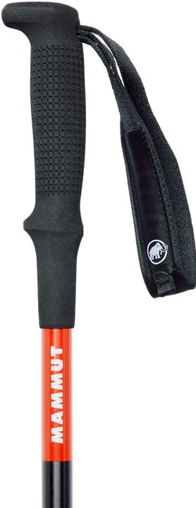 Produktbild Mammut Aenergy Escape Poles