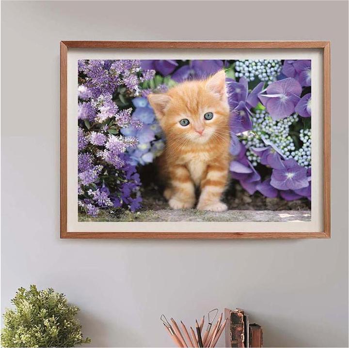 Immagine prodotto Clementoni 35585 (500 pezzi)