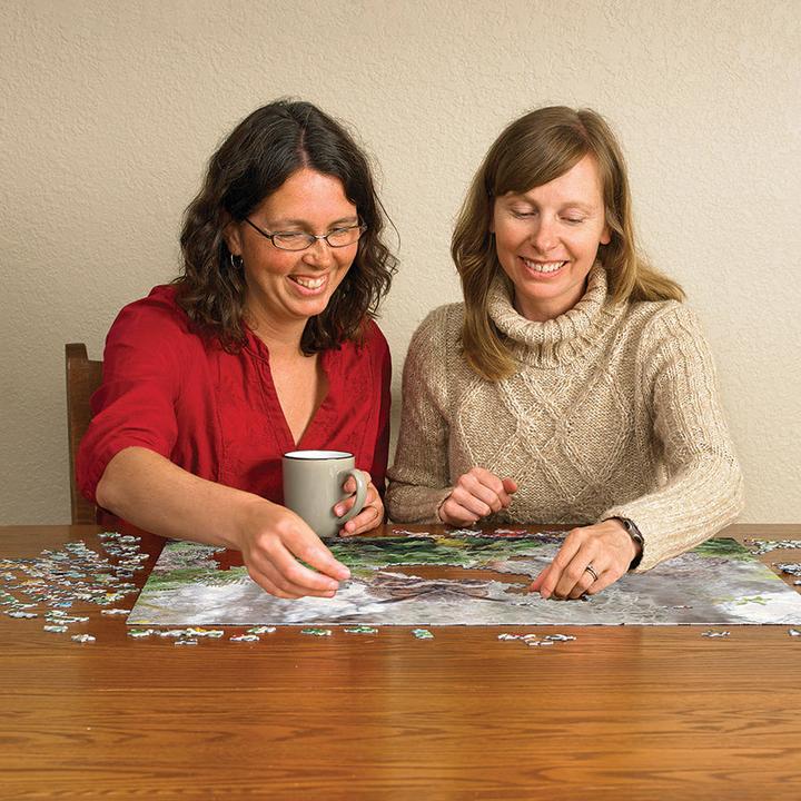 Actual product image Cobble Hill Puzzle 1000 pieces Great Horned Owl (1000 pieces)