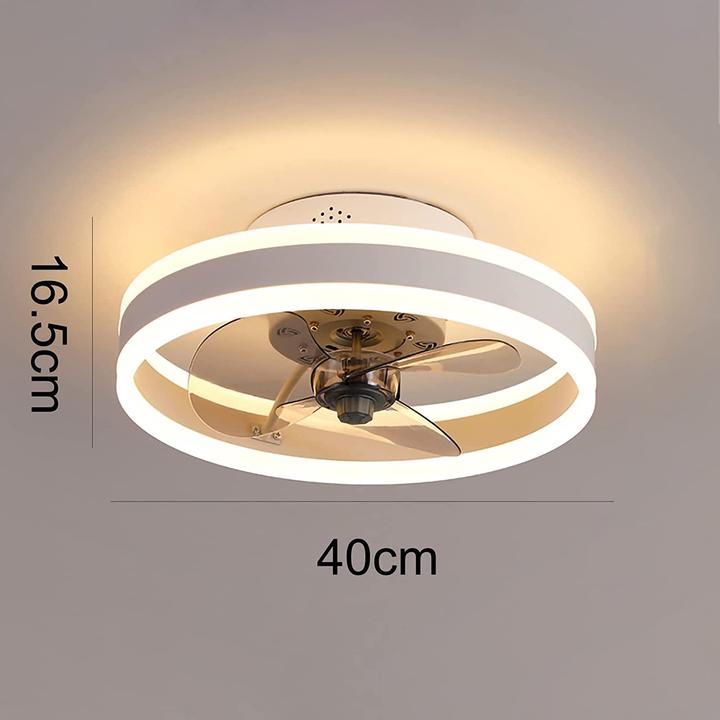 Image du produit Wildcat Ventilateur de plafond avec éclairage