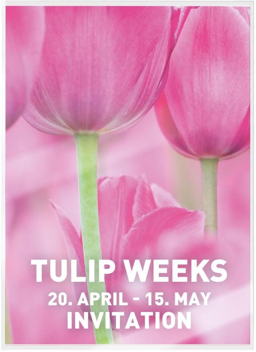 Produktbild Leitz Laminierfolie (A4, 100 Stk., 100 µm)