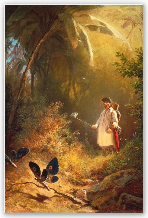 Immagine prodotto Trenddeko Spitzweg - L'acchiappafarfalle (40 x 60 cm)