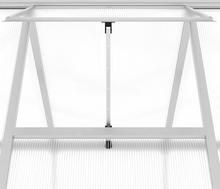 Produktbild vidaXL Gewächshaus