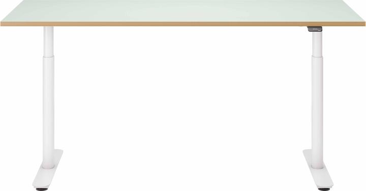 Actual product image ofinto Rise