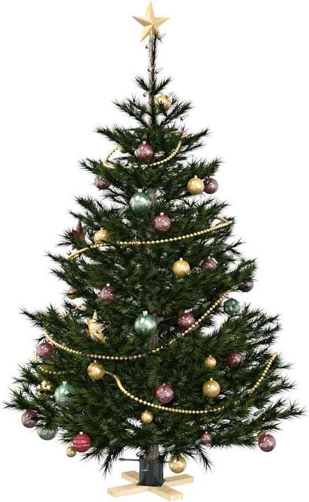 Produktbild vidaXL Weihnachtsbaumstand