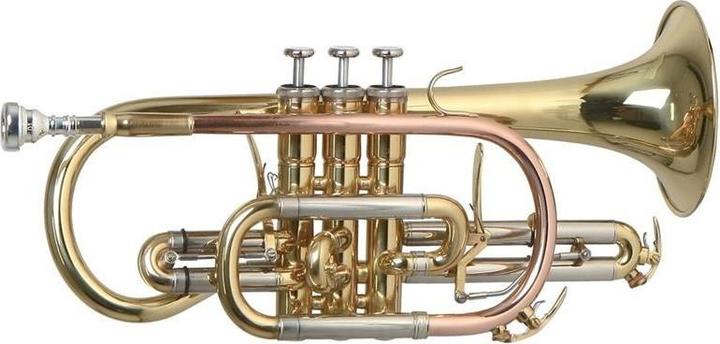 Actual product image Roy Benson Bb Cornet CR302 Professional (Cornet)