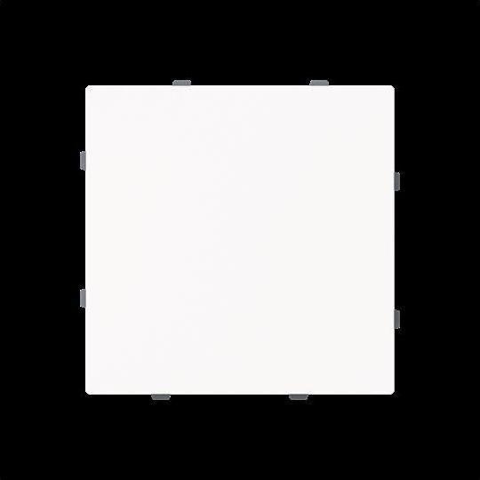 RAL 9016