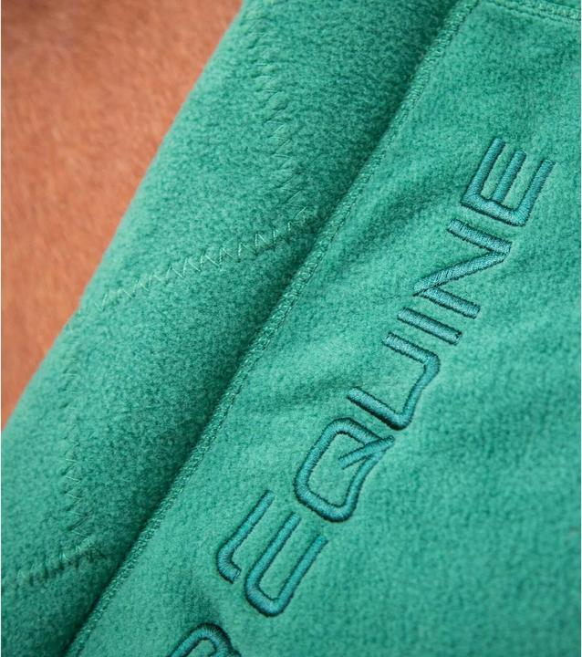 Actual product image Premier Equine Buster Continental 280g (168 cm)