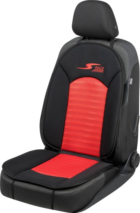 Rot
