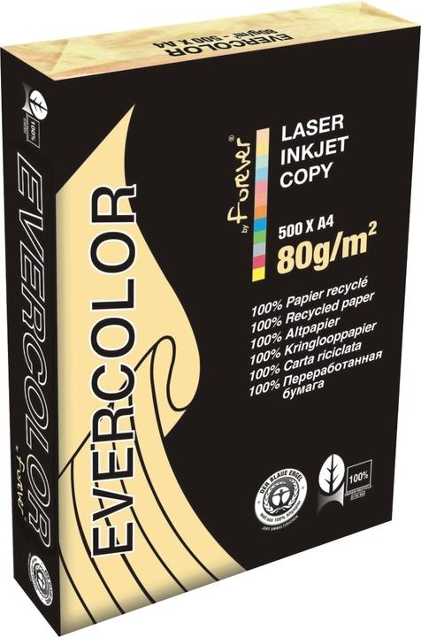 Produktbild Clairefontaine Recyclingpapier Evercolor hellgelb DIN A4 80 g/qm 500 Blatt (80 g/m², 500 x, A4)