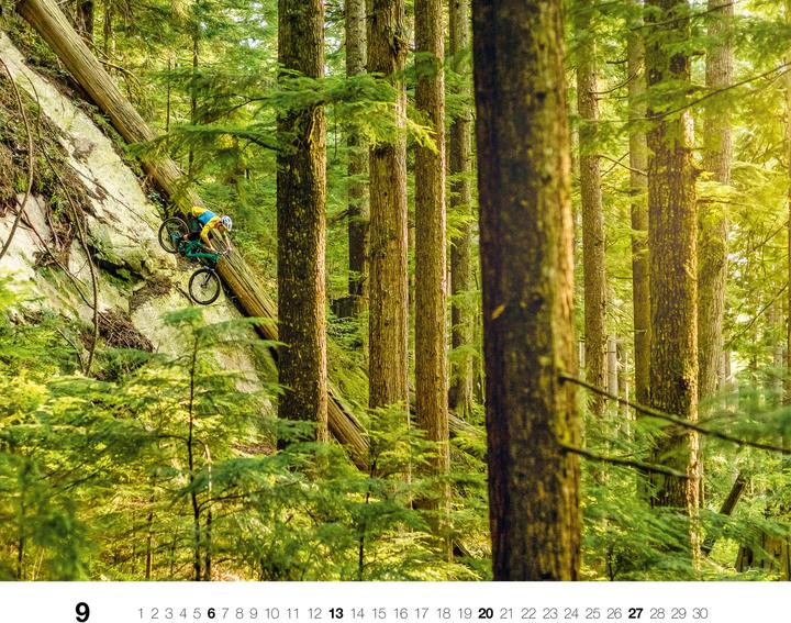 Produktbild Freeride 2026 (56 x 46 cm)