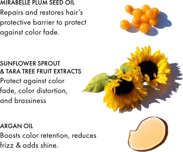 Produktbild Fekkai - Technician Color Shampoo 250 ml (250 ml)