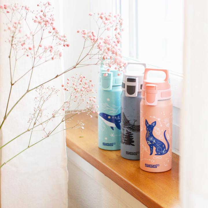 Actual product image Sigg WMB One (0.60 l)