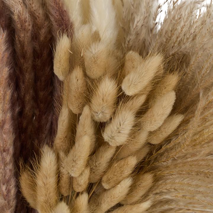 Produktbild Relaxdays 144x Pampasgras (41 cm)