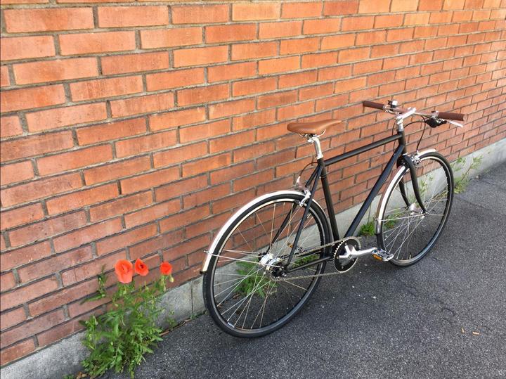 Immagine prodotto Fam. Huber Robin (50.50 cm)