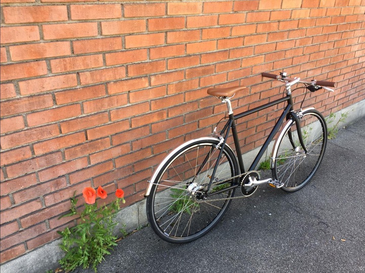 Immagine prodotto Fam. Huber Robin (55 cm)