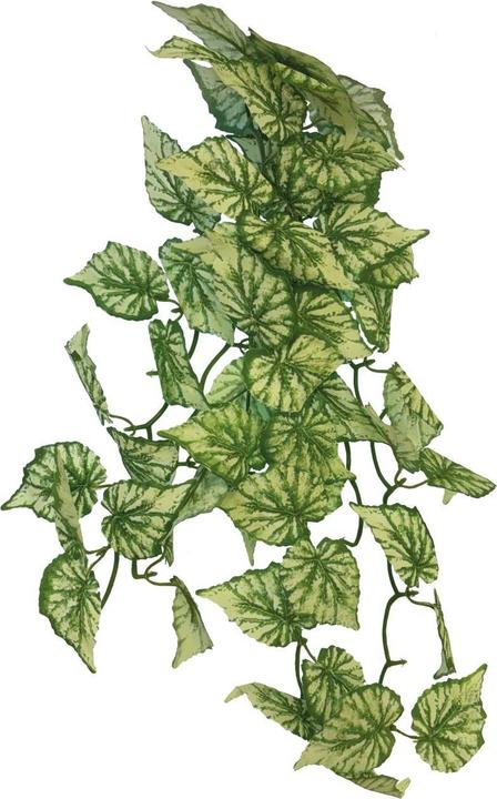 Repto Plant Plant Hanging Hedra 65cm