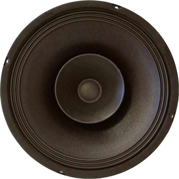Rockwood BLANKO PA Bass Fullrange 200 mm Guitar Speaker