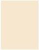 Actual product image Maybelline New York Superstay Active Wear 30H (5 Ivory)