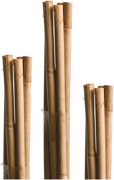 Produktbild Windhager Tonkin und Splittstab (120 cm, 1 cm)