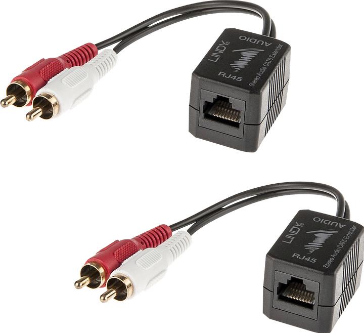 Actual product image Lindy Cat.5/6 100m 2x RCA (Extender)