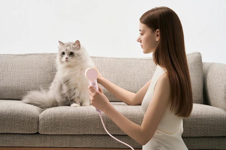 Image du produit Laifen Mini PNK (1100 W)