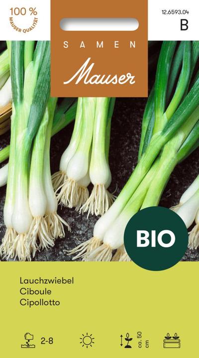 Produktbild Samen Mauser BIO Lauchzwiebel (Gemüsesamen)