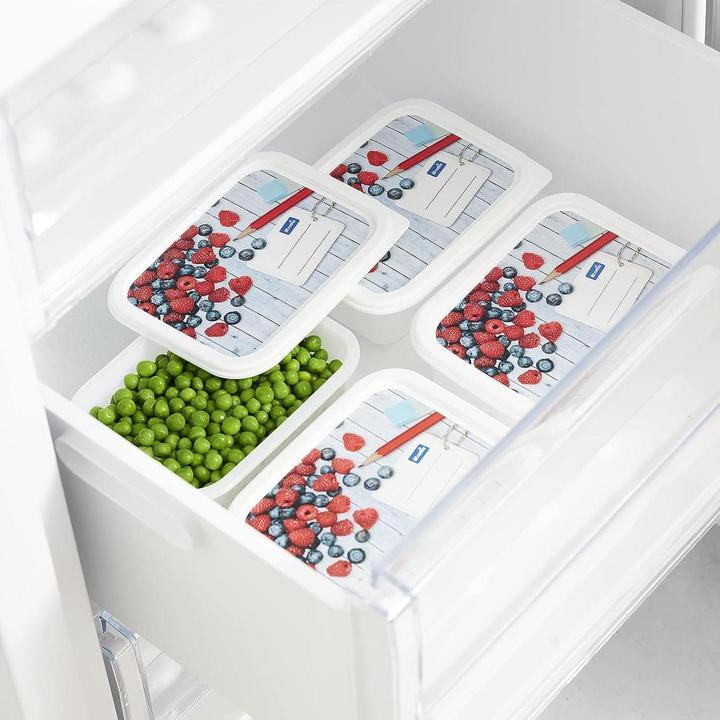 Image du produit Rotho Boîtes de congélation (0.50 l)