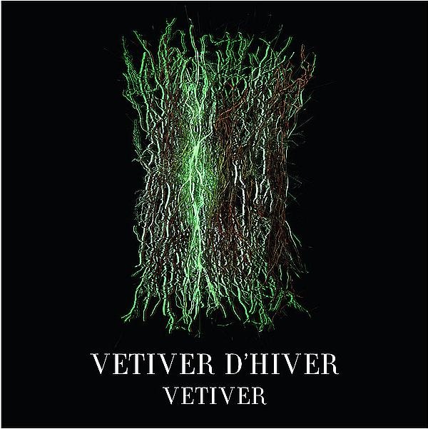 Image du produit Giorgio Armani Vétiver d'Hiver (Eau de toilette, 50 ml)