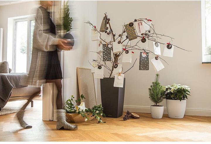 Actual product image Lechuza Cubico Color (29.50 cm)