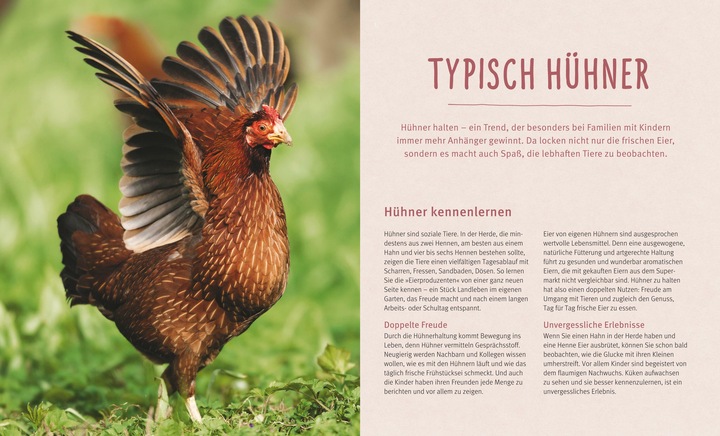 Produktbild Hühner halten (Deutsch, Michael von Lüttwitz, 2015)